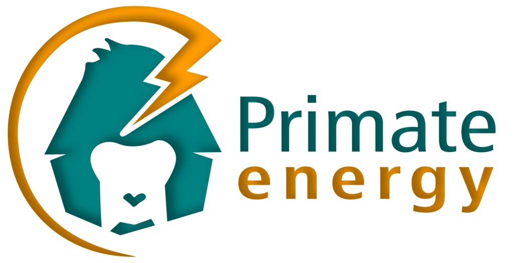 Primate Energy Energy Without Borders